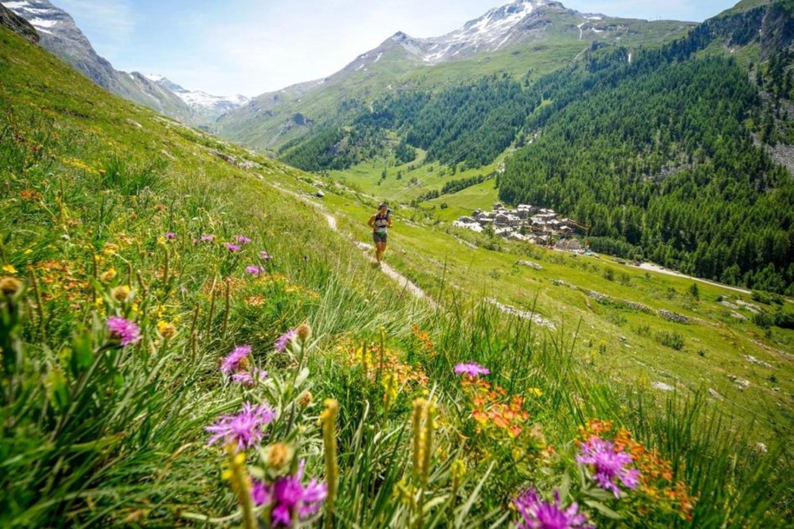 Mazot Loppe - A Cosy Hideaway * Chamonix Mont Blanc